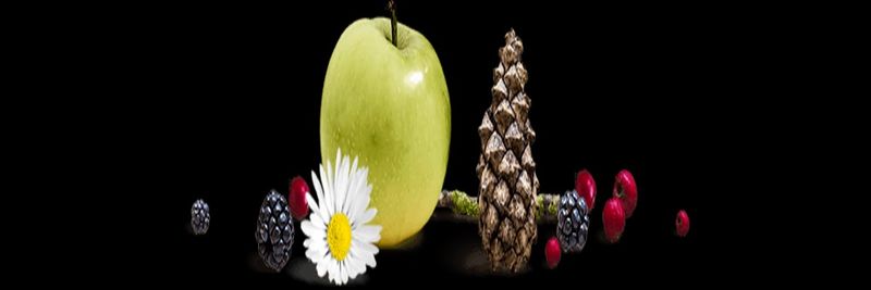 DELTA SPICE EGY - supplier and manufacturer from 이집트