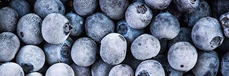 Coloma Frozen Foods - supplier and manufacturer from 미국