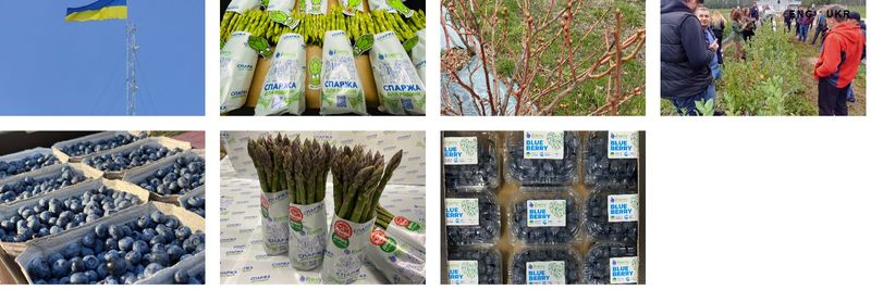 Nikdaria LLC (TM iBerry) - supplier and manufacturer from 우크라이나