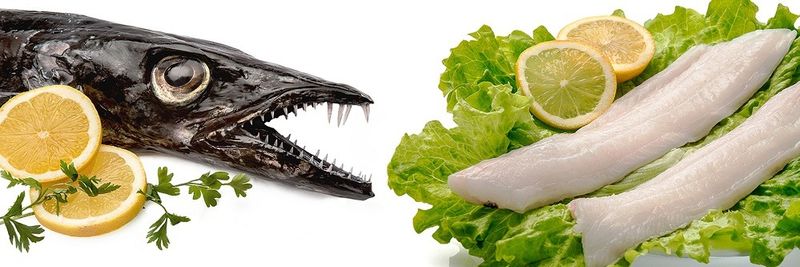 Sulmaré - Empresa de Pesca Lda - supplier and manufacturer from 포르투갈