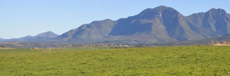 South Cape Fruit - supplier and manufacturer from South Africa