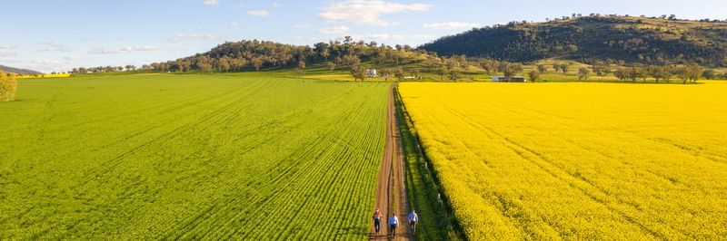 GrainCorp Feeds (NZ) - supplier and manufacturer from 뉴질랜드