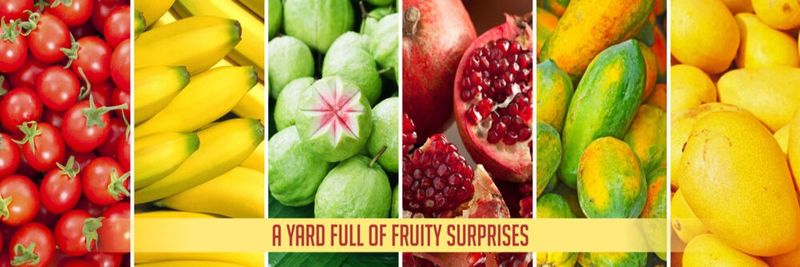 Chitale Agro - supplier and manufacturer from 인도
