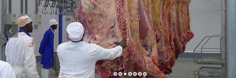 Mozbife - supplier and manufacturer from 모잠비크