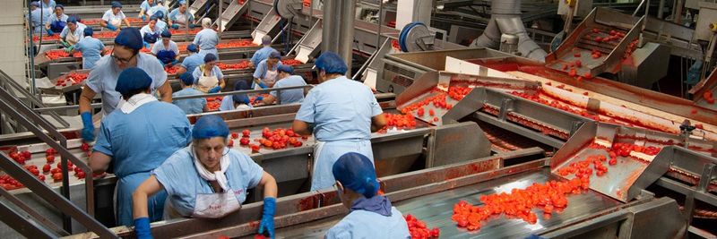 Feger Di Gerardo Ferraioli - S.p.a. - supplier and manufacturer from 이탈리아