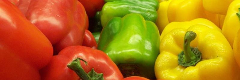 DIFRUSA EXPORT, S.A. - supplier and manufacturer from 스페인