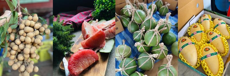 OP Fruits Co., LTD. - supplier and manufacturer from 태국