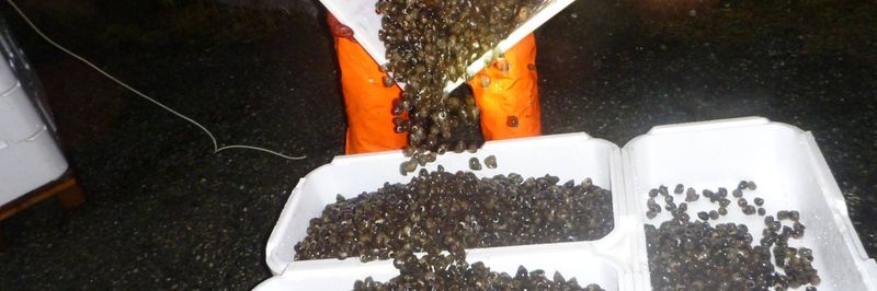 Statsnail AS - supplier and manufacturer from Norway