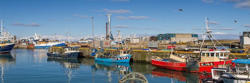 Noble Brothers (Fraserburgh) Ltd - supplier and manufacturer from 영국