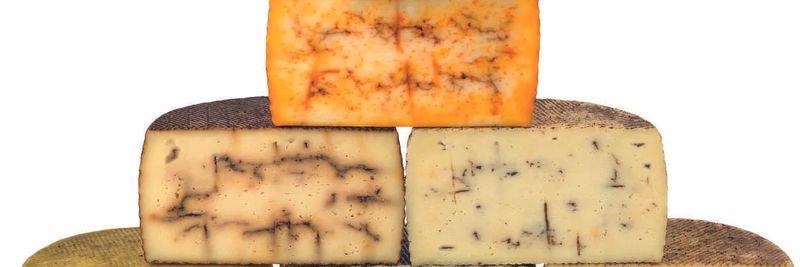 VEGAMANCHA - SPANISH CHEESE SPECIALISTS - supplier and manufacturer from 스페인