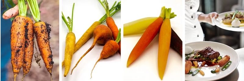 Greenland Produce, Inc. - supplier and manufacturer from 미국