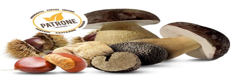 Patrone SRL - supplier and manufacturer from Italy
