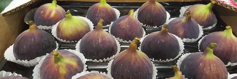 Sinerji Fresh - supplier and manufacturer from Turkiye