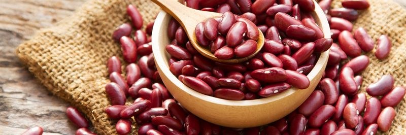 Chippewa Valley Bean Company - supplier and manufacturer from 미국