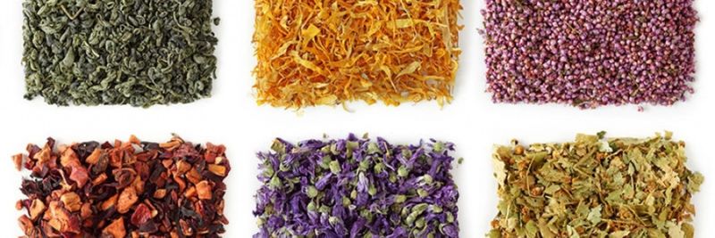 Dried Ingredients Int. GmbH - supplier and manufacturer from 독일