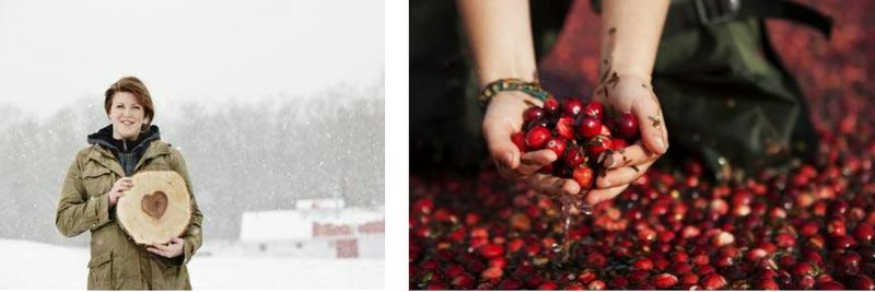 Citadelle Maple Syrup & Cranberry Producers' Cooperative - supplier and manufacturer from 캐나다