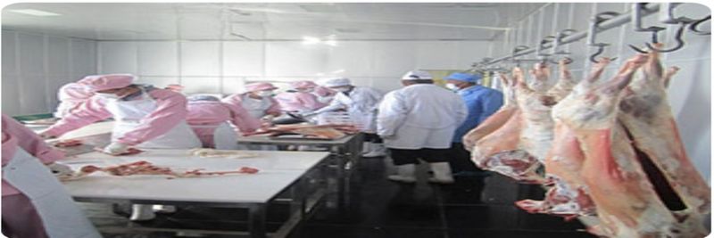 Zerger International - supplier and manufacturer from 몽골