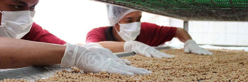 PAWADA FOOD INDUSTRIES - supplier and manufacturer from 말레이시아