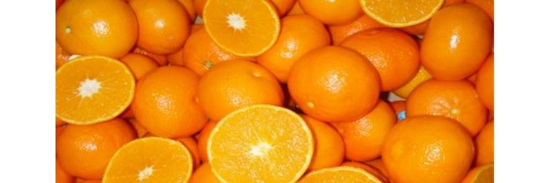 Groexport - ELIADA ELEONES - supplier and manufacturer from 키프로스