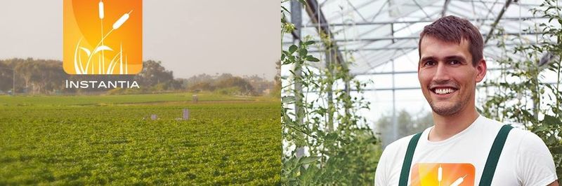 Instantia - supplier and manufacturer from 멕시코