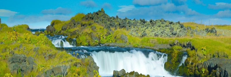 Klausturbleikja Farm - FISHPRODUCTS ICELAND - supplier and manufacturer from 아이슬란드