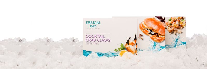 Errigal Bay Ltd - supplier and manufacturer from 영국