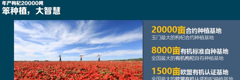gojibuy - supplier and manufacturer from 중국