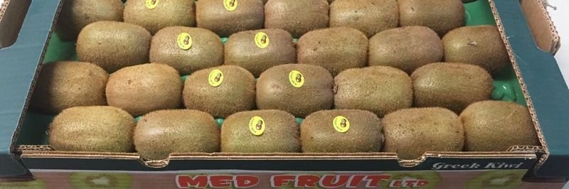 MED FRUIT L.T.D. - supplier and manufacturer from 그리스