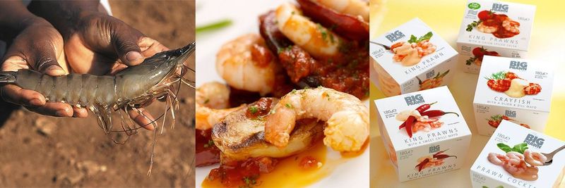 The Big Prawn Co. Ltd. - supplier and manufacturer from 영국