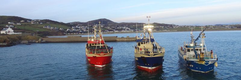 McBride Fishing - supplier and manufacturer from Ireland