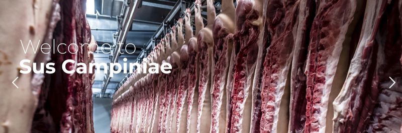 Sus Campiniae - supplier and manufacturer from 벨기에