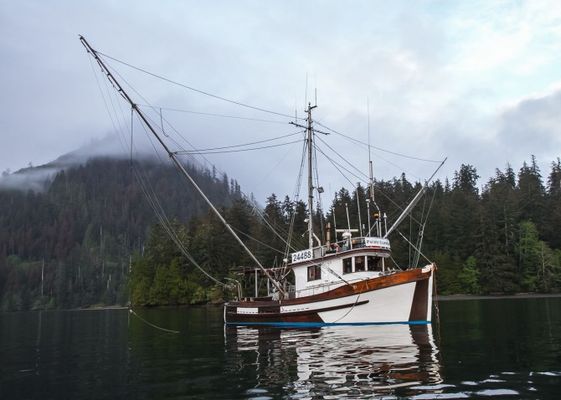 Coldfish Seafood Company - supplier and manufacturer from Canada