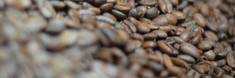Javaro Coffee - supplier and manufacturer from 인도네시아