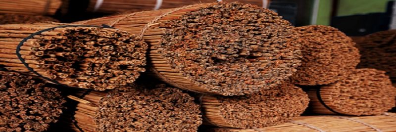 SDS Spices (Pvt) Ltd - supplier and manufacturer from Sri Lanka