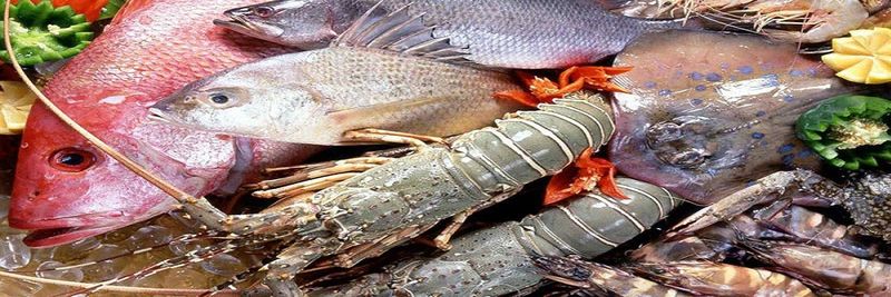 Wai Fat Seafood International Limited - supplier and manufacturer from 홍콩