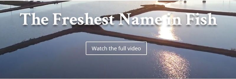 Consolidated Catfish Companies, LLC - supplier and manufacturer from 미국