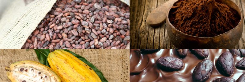 ECOKAKAO - supplier and manufacturer from Ecuador