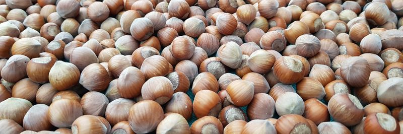 Geo-Nuts LLC - supplier and manufacturer from Georgia