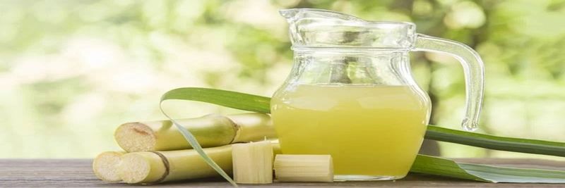 Sugarcane WNY - supplier and manufacturer from 미국