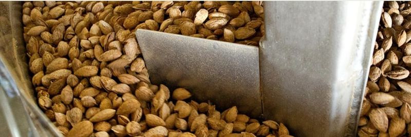 Campos Brothers Farms - supplier and manufacturer from United States