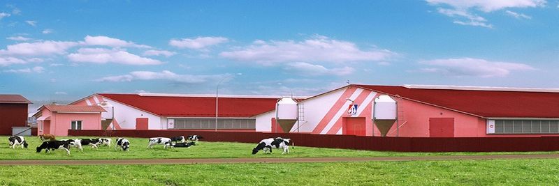 MINSK MILK PLANT NO.1, JSC - supplier and manufacturer from 벨라루스