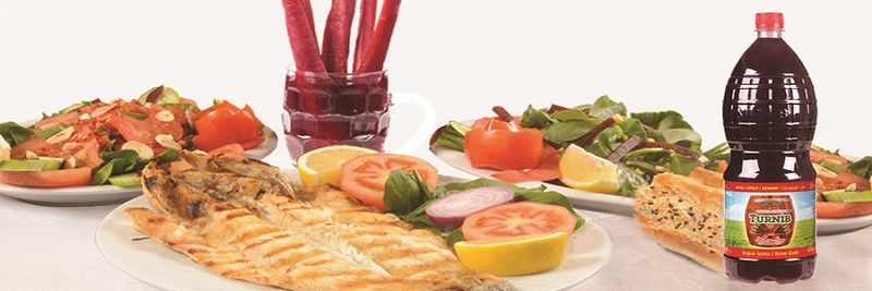 Turnip Gida Insaat Sanayi Ve Ticaret Limited Sirketi - supplier and manufacturer from 튀르키예