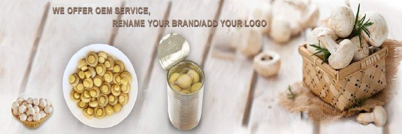 Zhangzhou Zhentian Trading Co.,Ltd - supplier and manufacturer from China