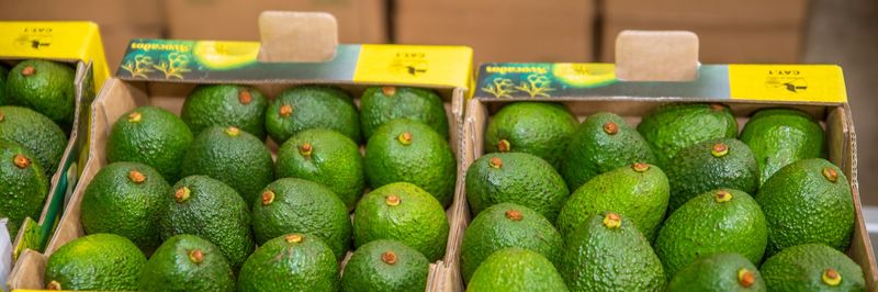 Yofarm Investments Limited - Verified supplier and manufacturer from Kenya