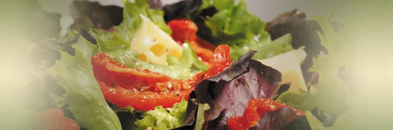 Avod Dried Food And Agricultural Products Ltd. - supplier and manufacturer from 튀르키예