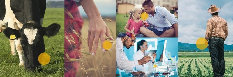 Glanbia USA - supplier and manufacturer from 미국