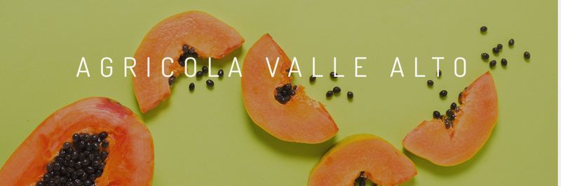 Agricola Valle Alto S.A. - supplier and manufacturer from 과테말라
