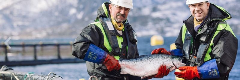 Jandis Seafood - supplier and manufacturer from 노르웨이