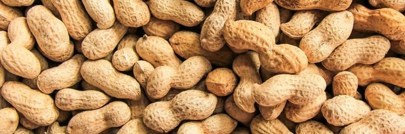 American Peanut Growers Group - supplier and manufacturer from United States
