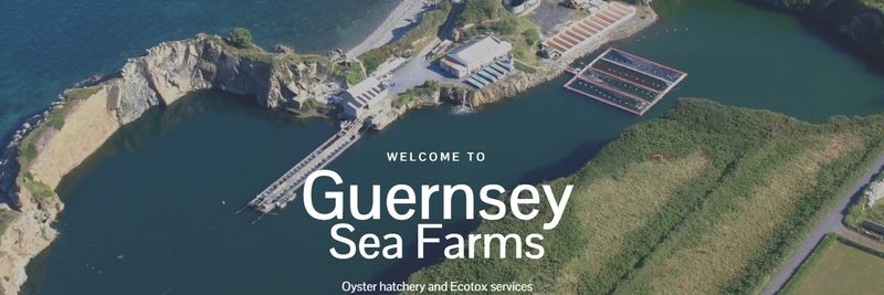 Guernsey Sea Farms - supplier and manufacturer from 영국
